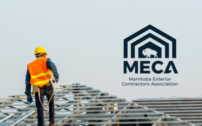 Why Trade Associations?